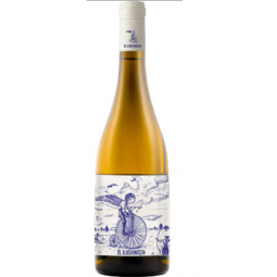 El Ilusionista Rueda